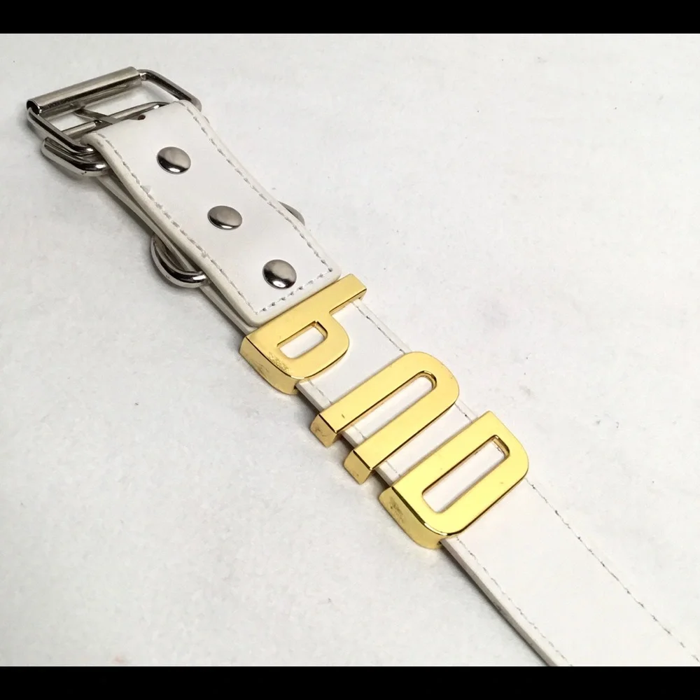 💎White Dog Collar Faux Leather With Metallic Letters Spelling PUD